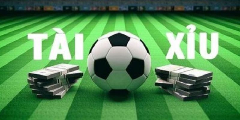 Chiến thuật cá cược cho kèo tài xỉu win55