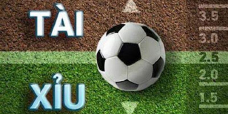 Kèo Tài Xỉu Win55 Là Gì? Cách Đọc Và Soi Kèo Chuẩn Nhất